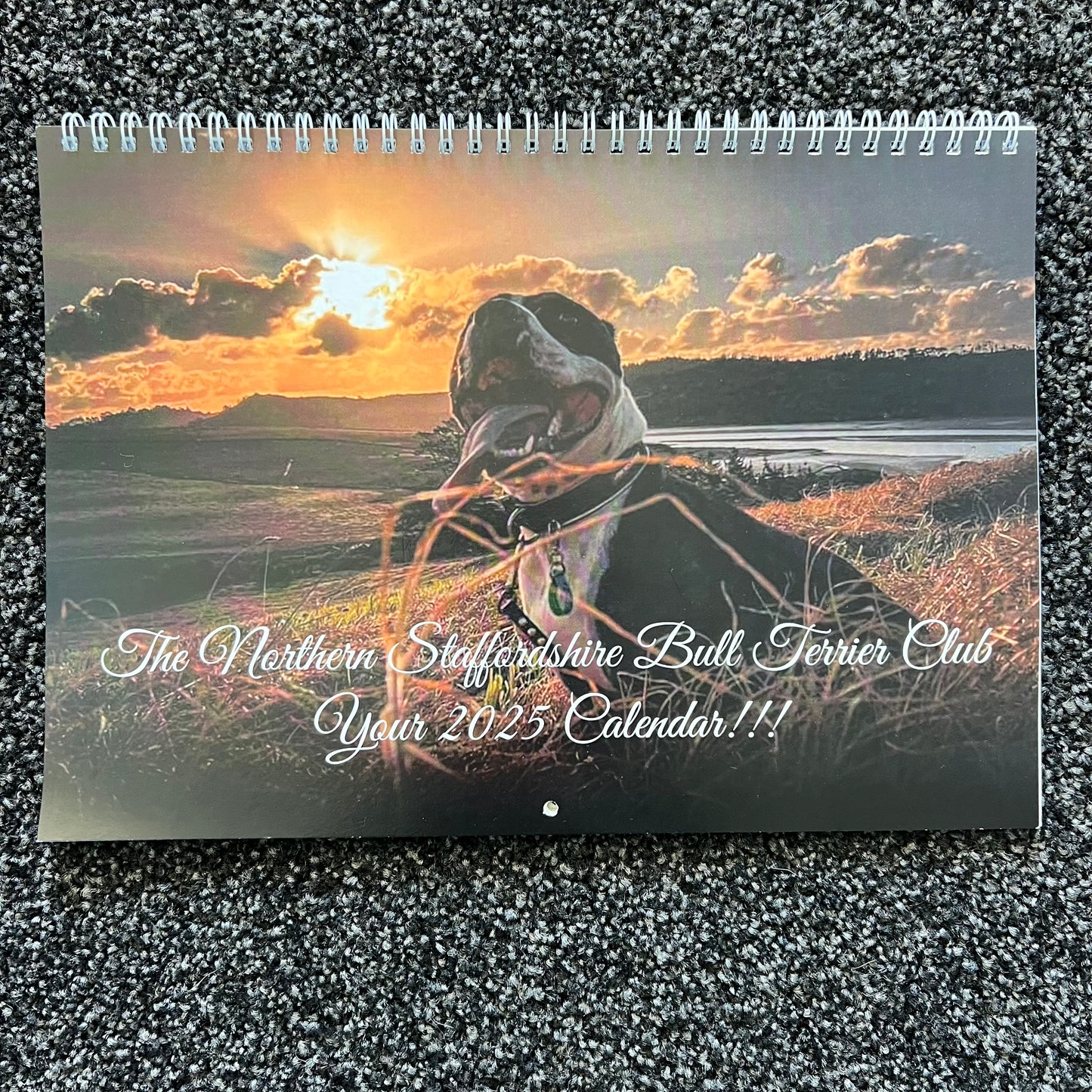 NSBTC 2025 Calendar