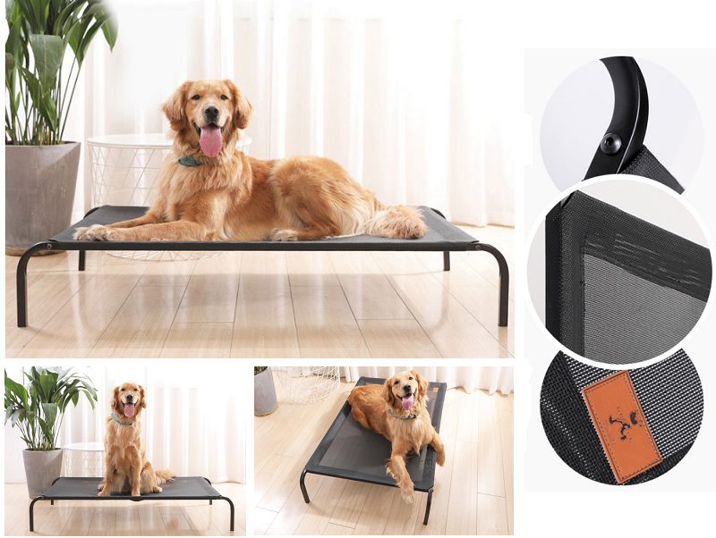 Pet Bed Elevated