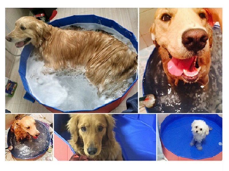 Dog Pool Portable Foldable Durable 80*20