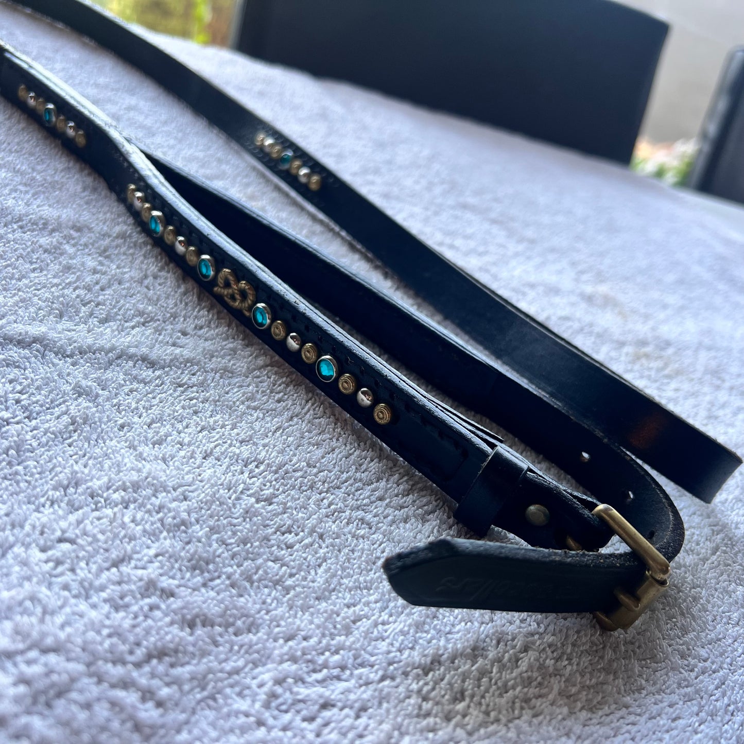 Leather collar and leash “all in one” with gems