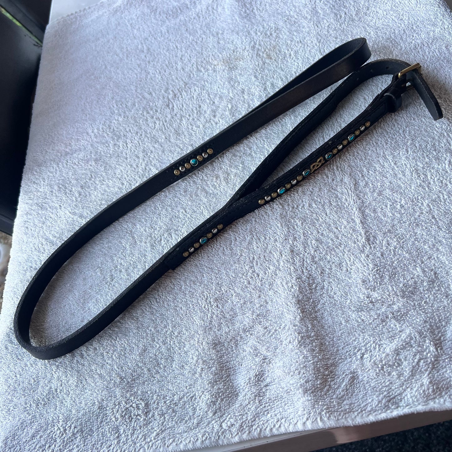 Leather collar and leash “all in one” with gems