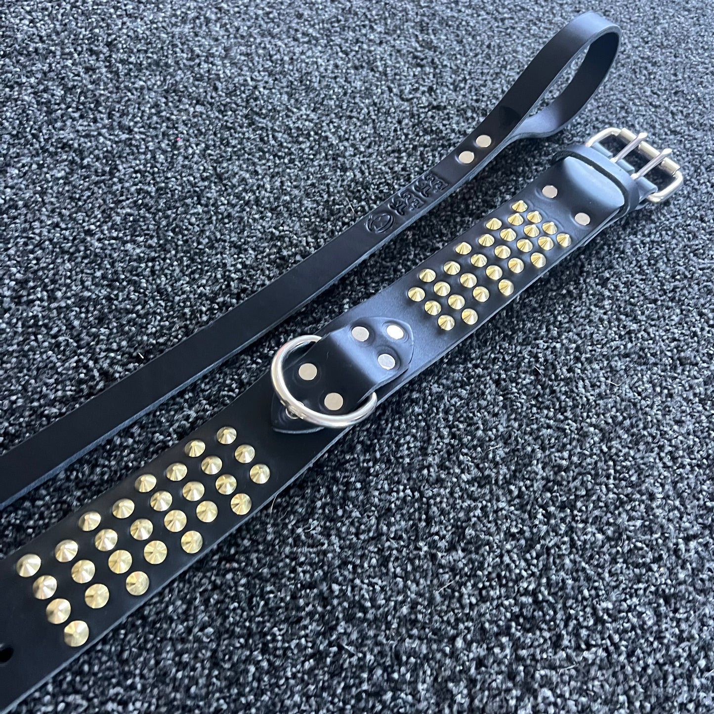 Black leather dog collar with gold studs on a textured gray surface
