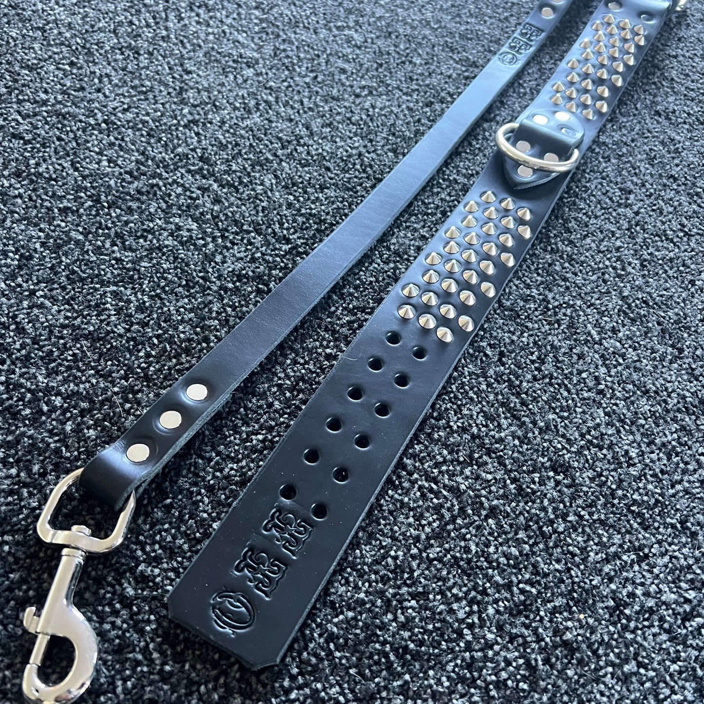 Black leather dog collar with studs and a metal clasp on a textured black surface