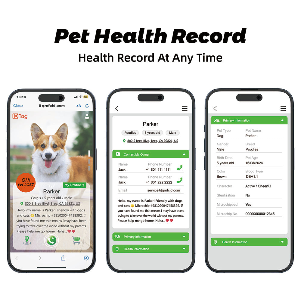 Dog Collar - Easy Scan QR ID - Sunflower Bloom