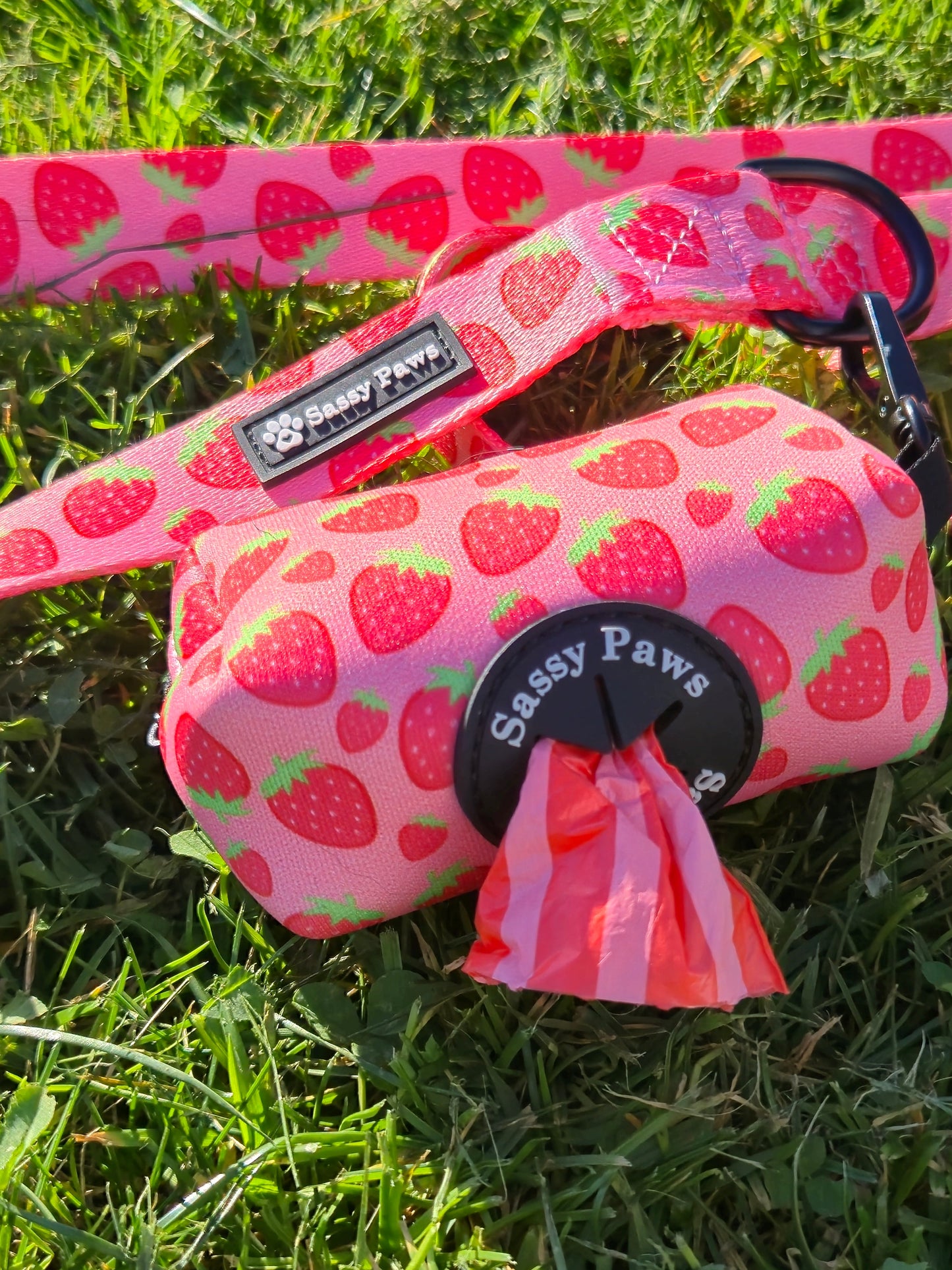 Pick Up Bag Holder - Strawberry Field