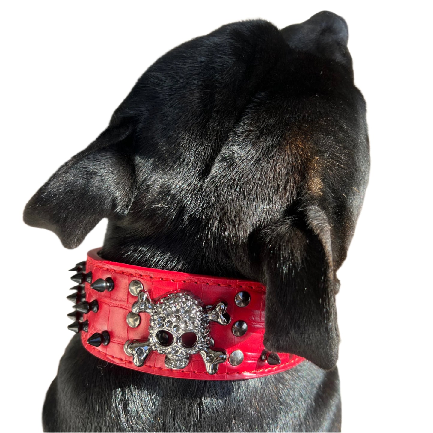Large Dog Breeds, Leather Collar, Mastiff, Rottweiler, German Shepherd Leather Collar