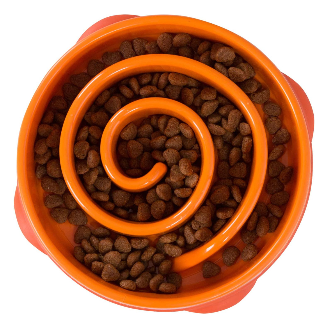 Fun Feeder Slo Bowl, Slow Feeder Dog Bowl