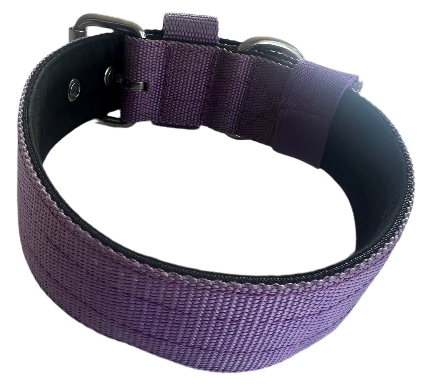Staffy, Staffordshire Bull Terrier, SBT, Show Collar, Staffie, Nylon Collar