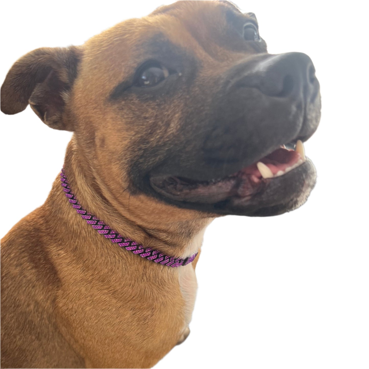 Large Dog Breeds, Leather Collar, Mastiff, Rottweiler, German Shepherd, Rhinestone Dog Collar