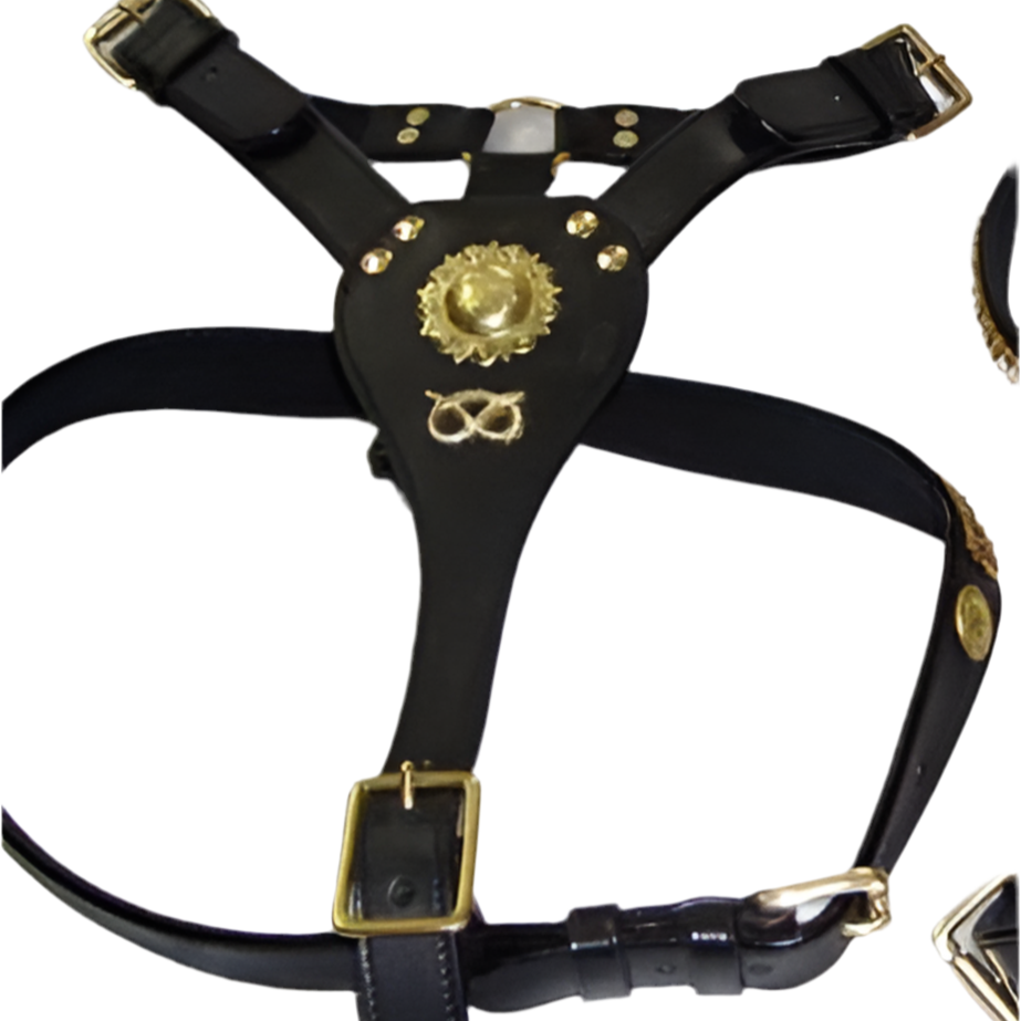 Staffy, Staffordshire Bull Terrier, SBT, Show Collar, Staffie, Staffy Leather harness