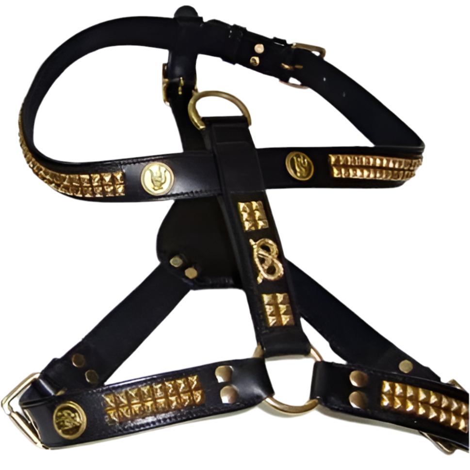 Staffy, Staffordshire Bull Terrier, SBT, Show Collar, Staffie, staffy Leather harness