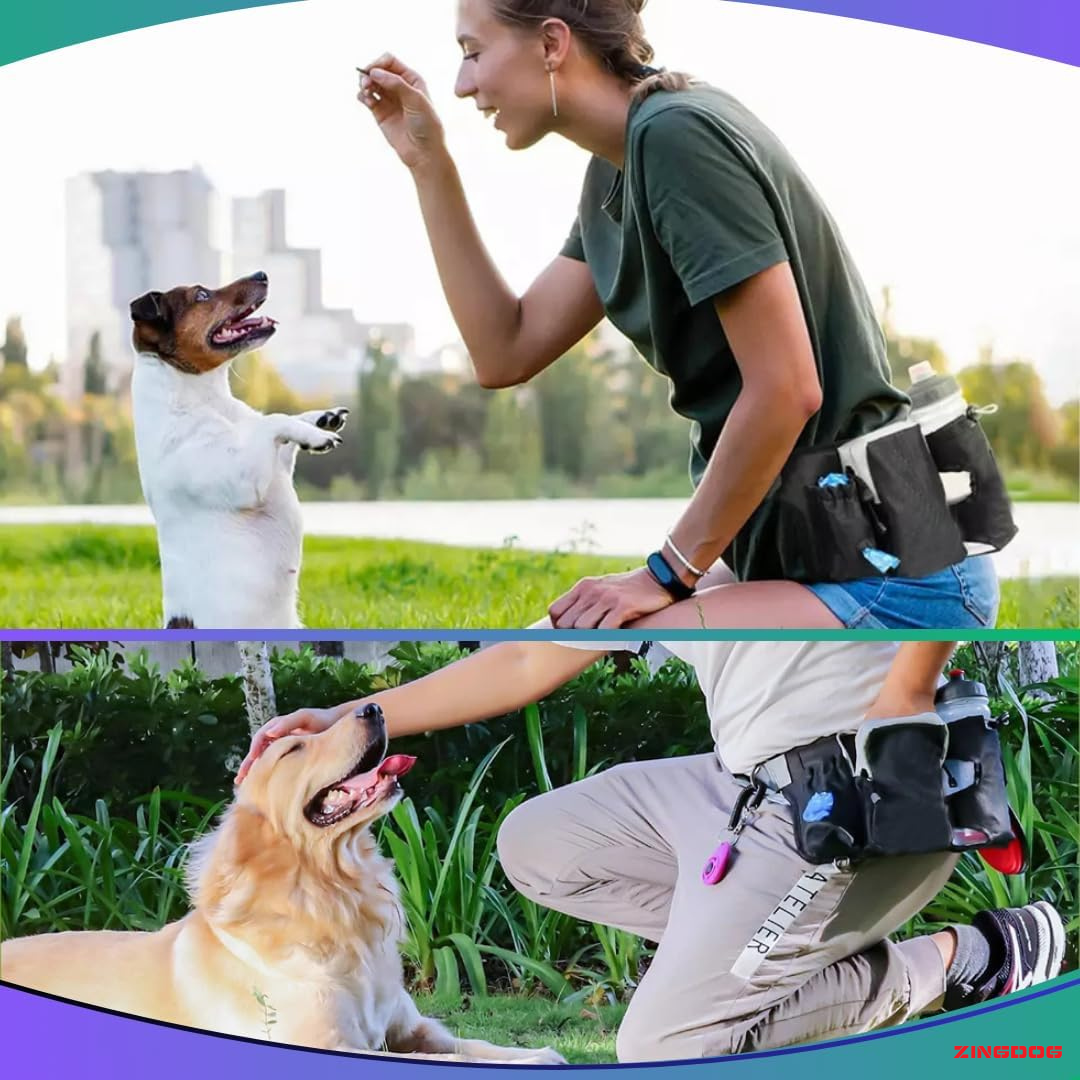 ZINGDOG Hands-Free Dog Leash with Waist Pouch for Running, Walking & Hiking
