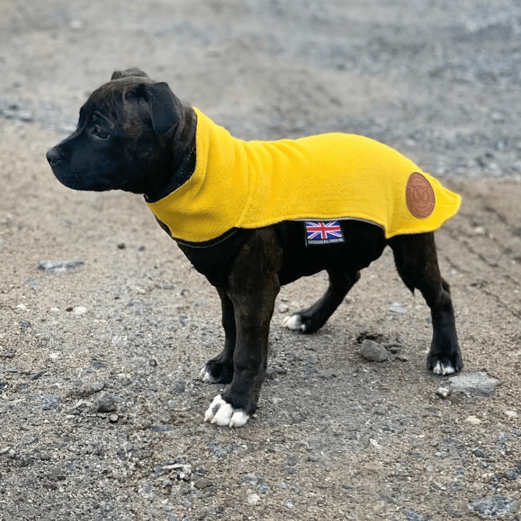 Staffy, Staffordshire Bull Terrier, SBT, Show Collar, Staffie, Fleece Coat