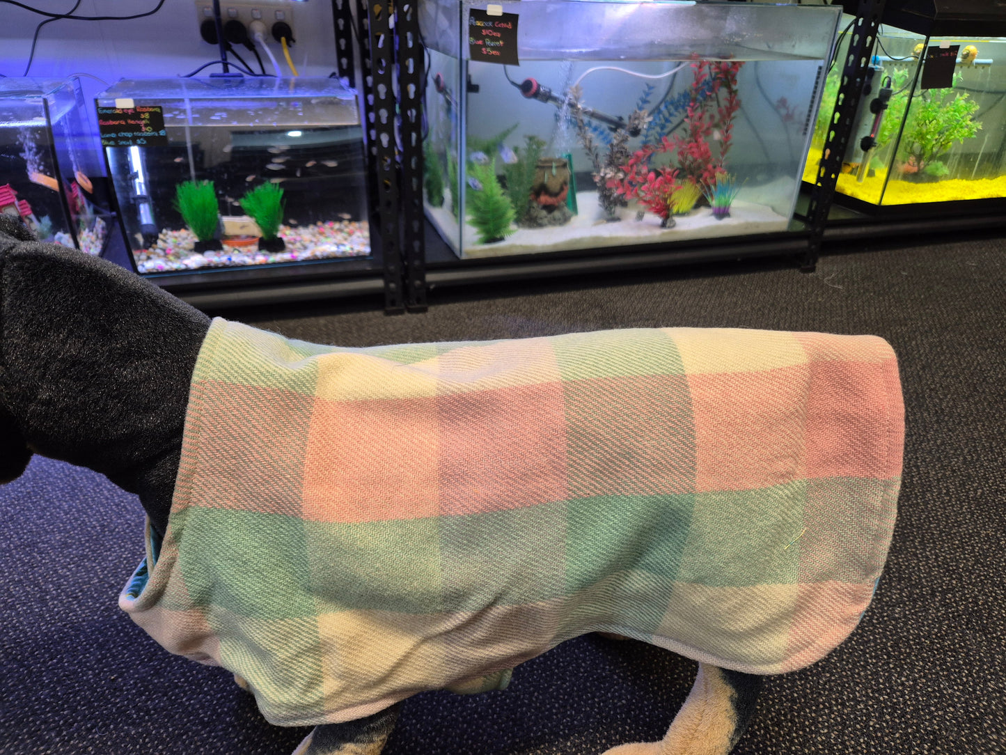 Recycled Wool Blanket Dog Coat 43cm