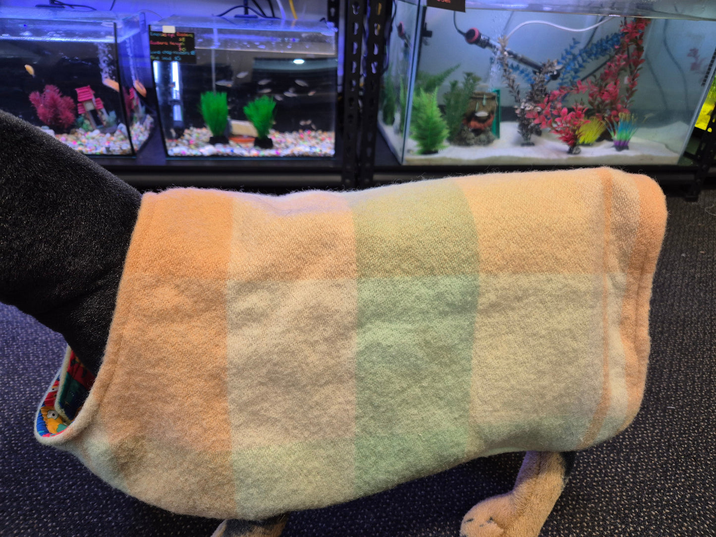 Recycled Wool Blanket Dog Coat 40cm