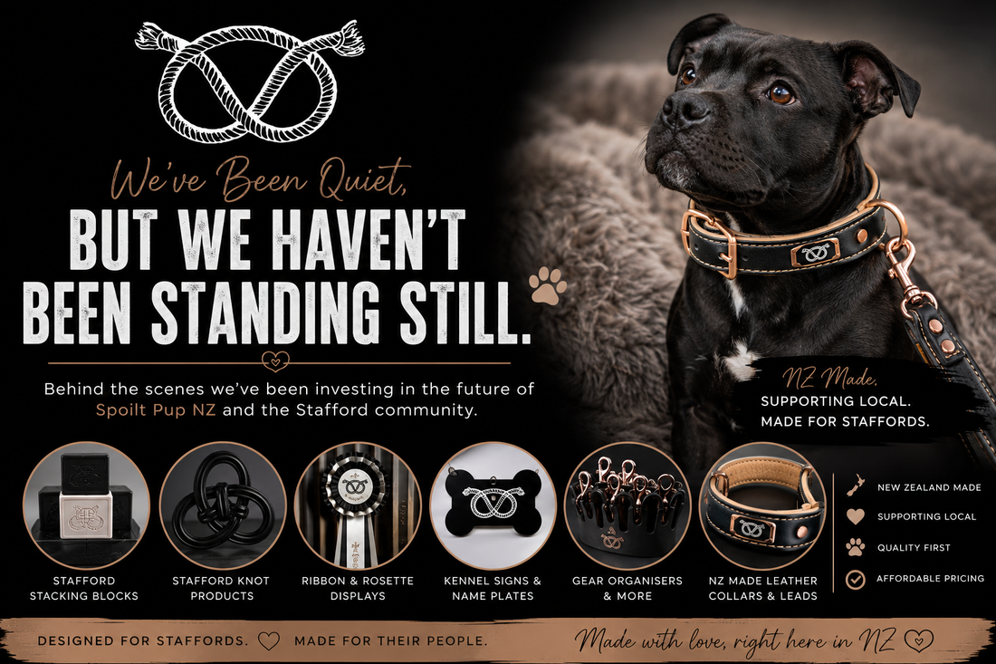 We’ve Been Quiet, But We Haven’t Been Standing Still | What’s Next for Spoilt Pup NZ