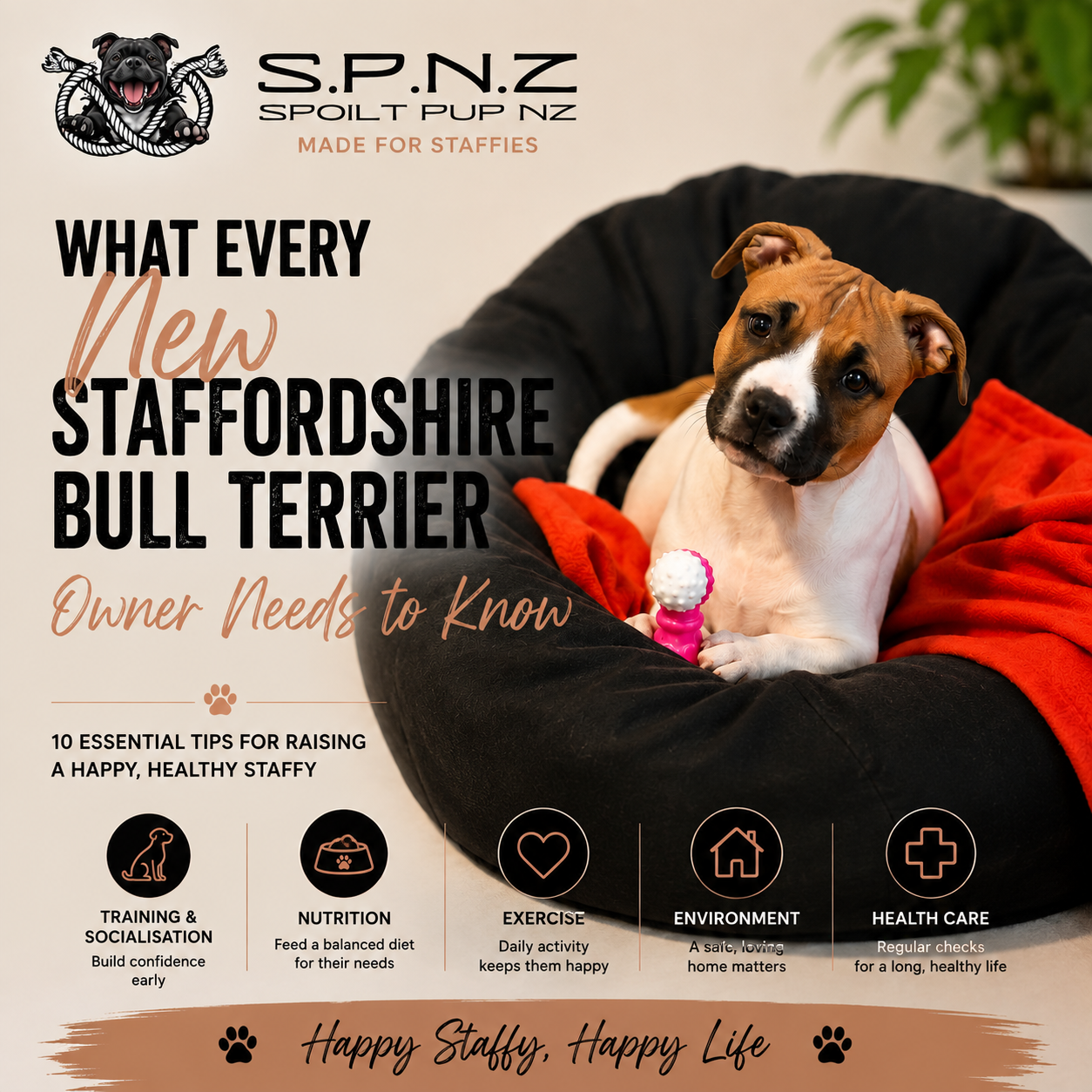 What Every New Staffordshire Bull Terrier Owner Needs to Know