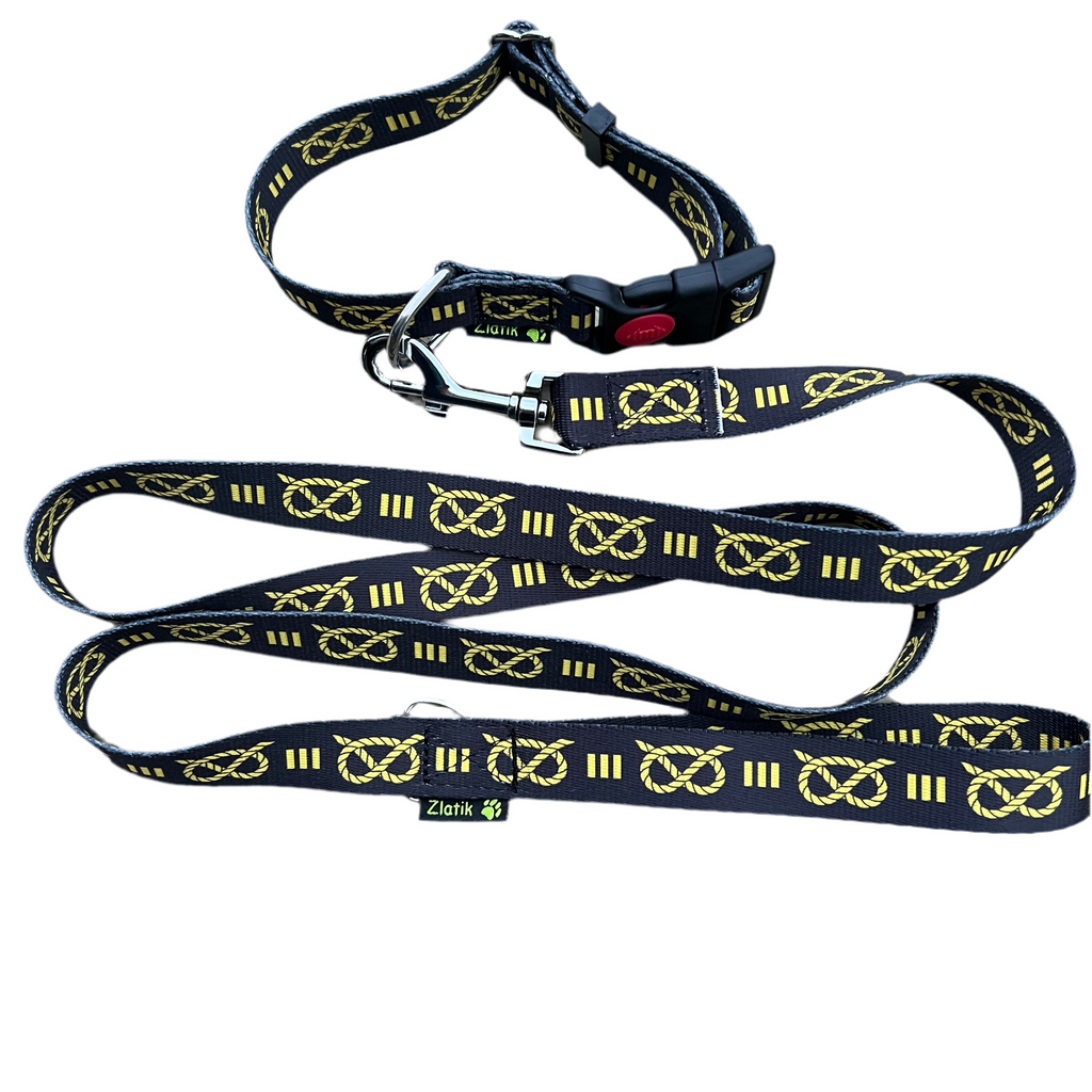 Staffordshire Bull Terrier Collar & Leash Set – Adjustable Puppy Collar (32–42cm)