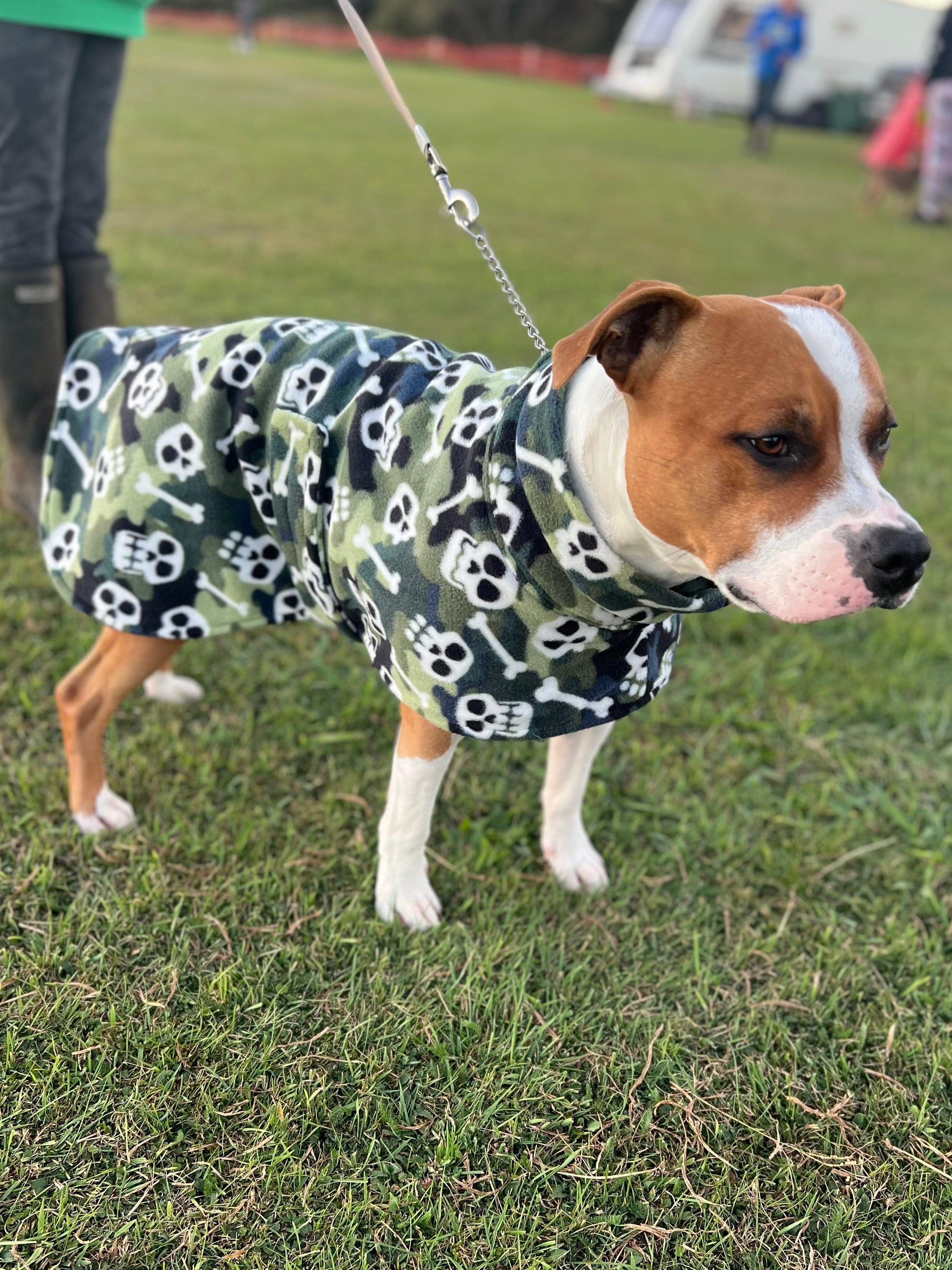 Large Staffordshire Bull Terrier Fleece Coat