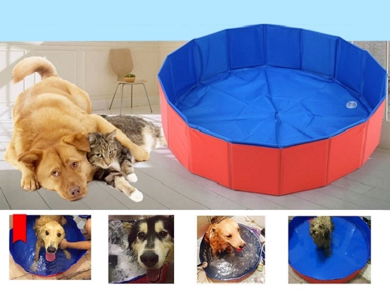 Dog Pool Portable Foldable Durable 80*20