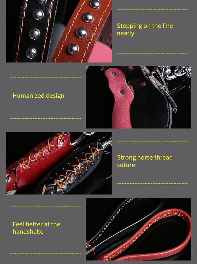 Leather Dog Collar And Leash Set