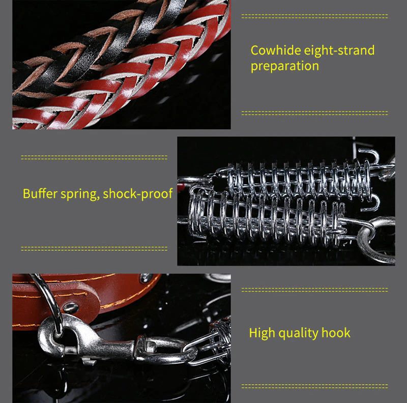 Leather Dog Collar And Leash Set