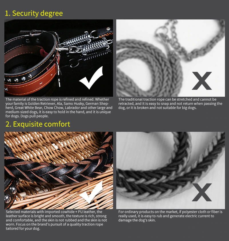 Leather Dog Collar And Leash Set