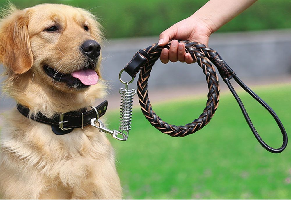 Leather Dog Collar And Leash Set