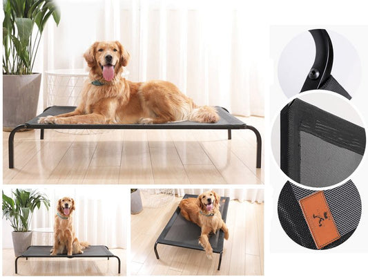 Pet Bed Elevated
