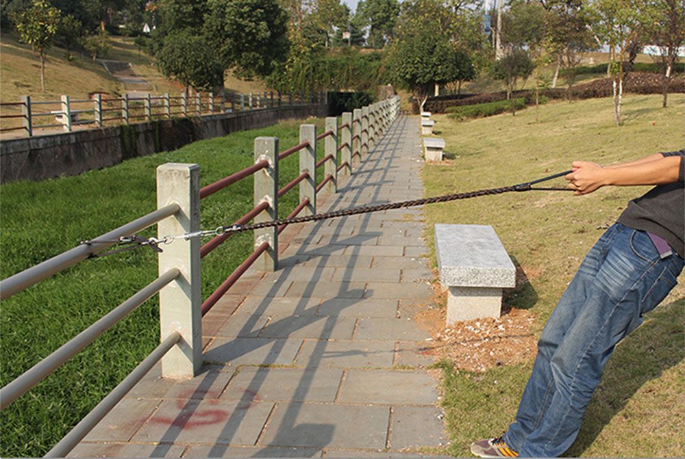 Leather Dog Collar And Leash Set