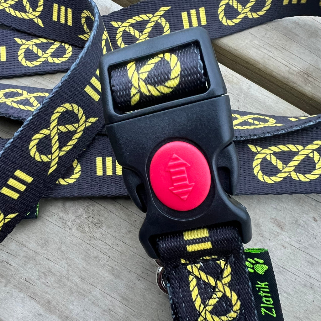 Staffordshire Bull Terrier Collar & Leash Set – Adjustable Puppy Collar (32–42cm)