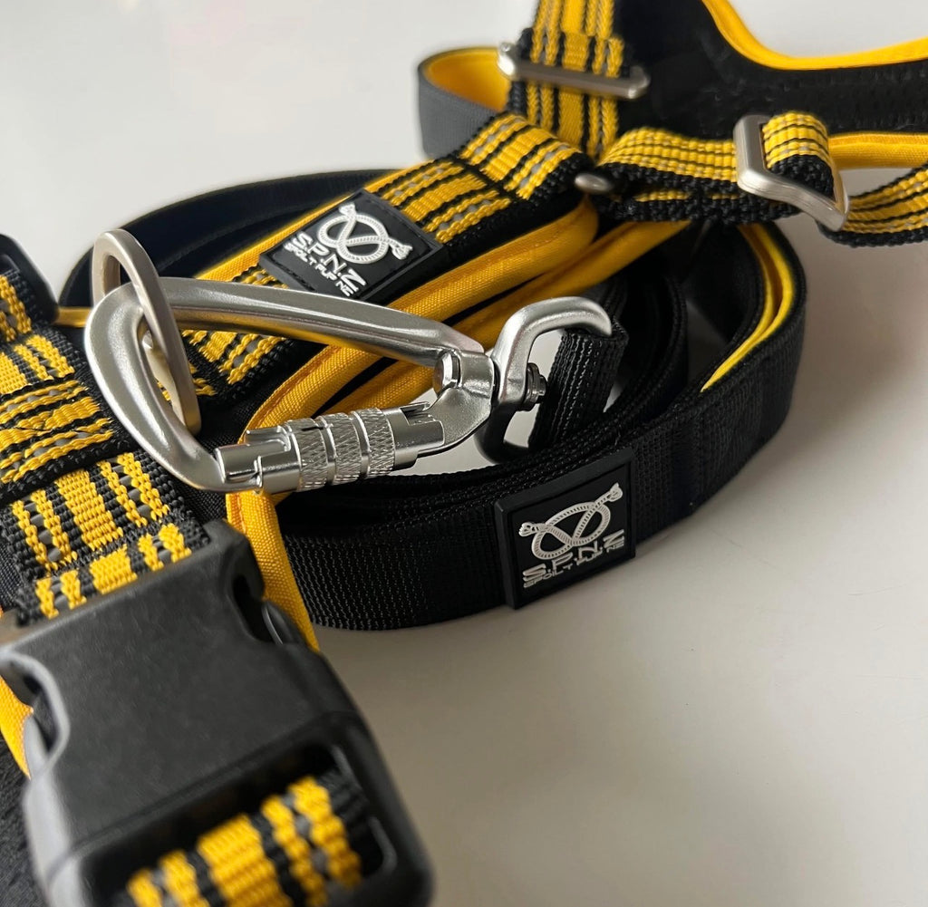 Stafford Bundle Set – Harness, Martingale & Matching Leash