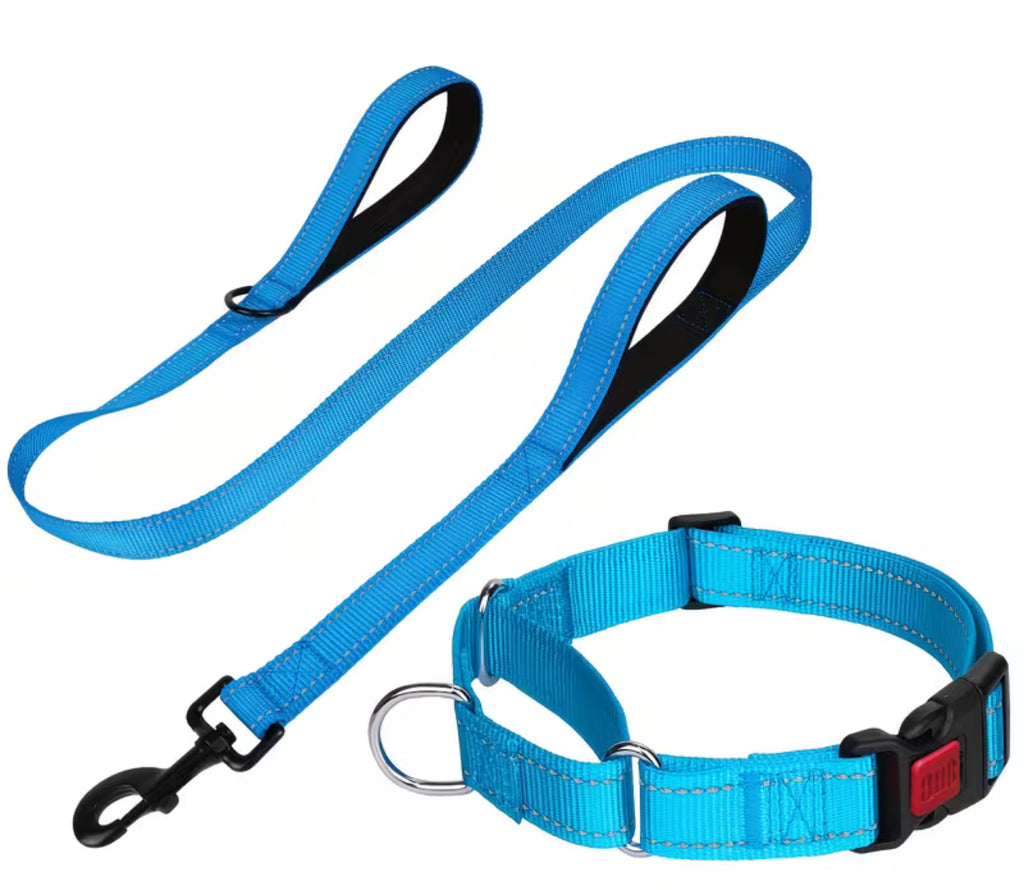 Reflective Puppy Martingale Collar & Leash Set – Light Blue