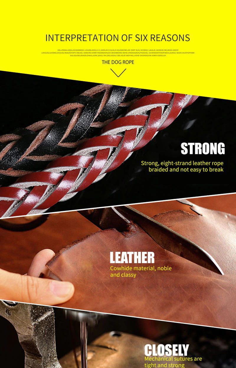 Leather Dog Collar And Leash Set