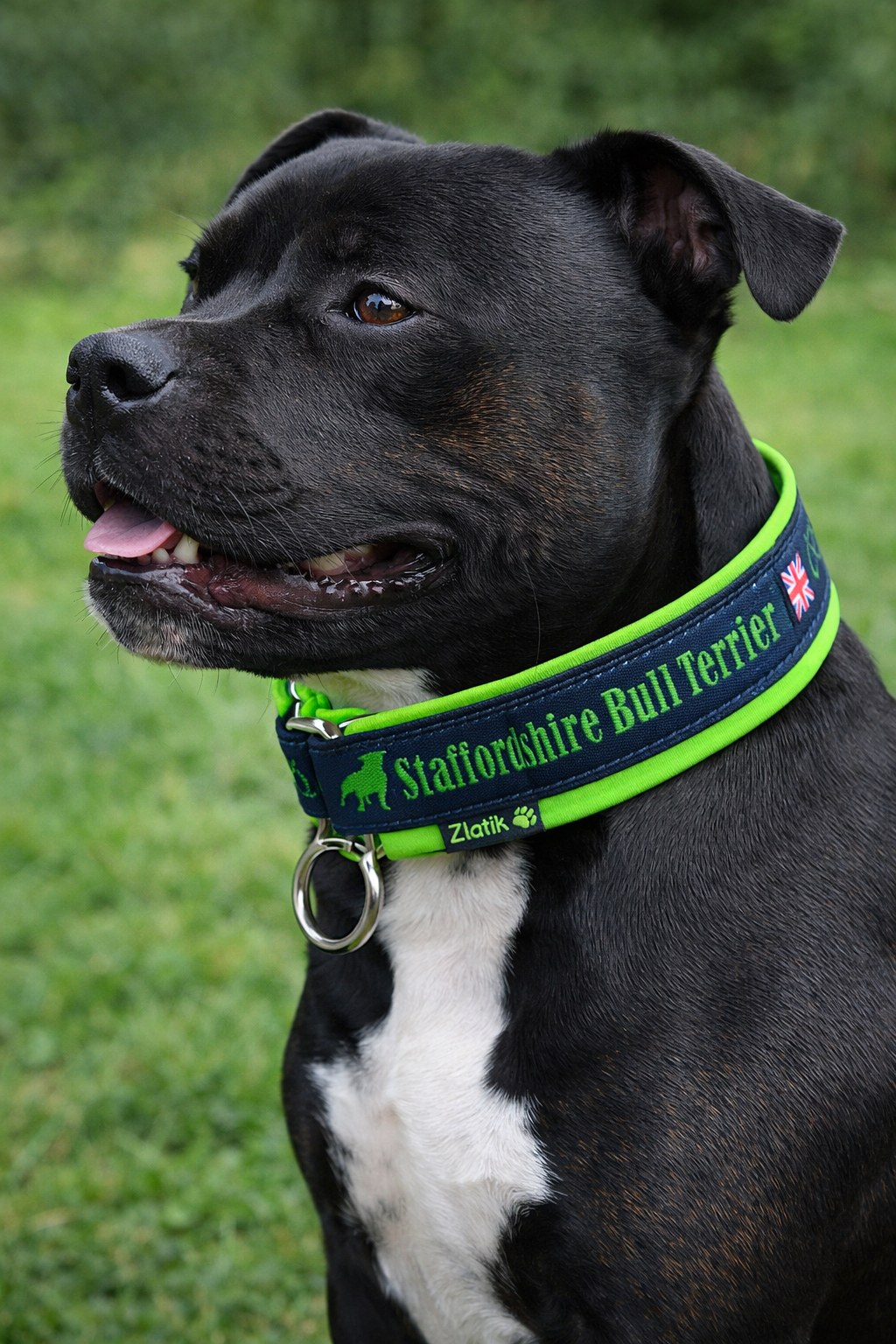 Midnight Blue & Neon Green Soft Martingale Collar