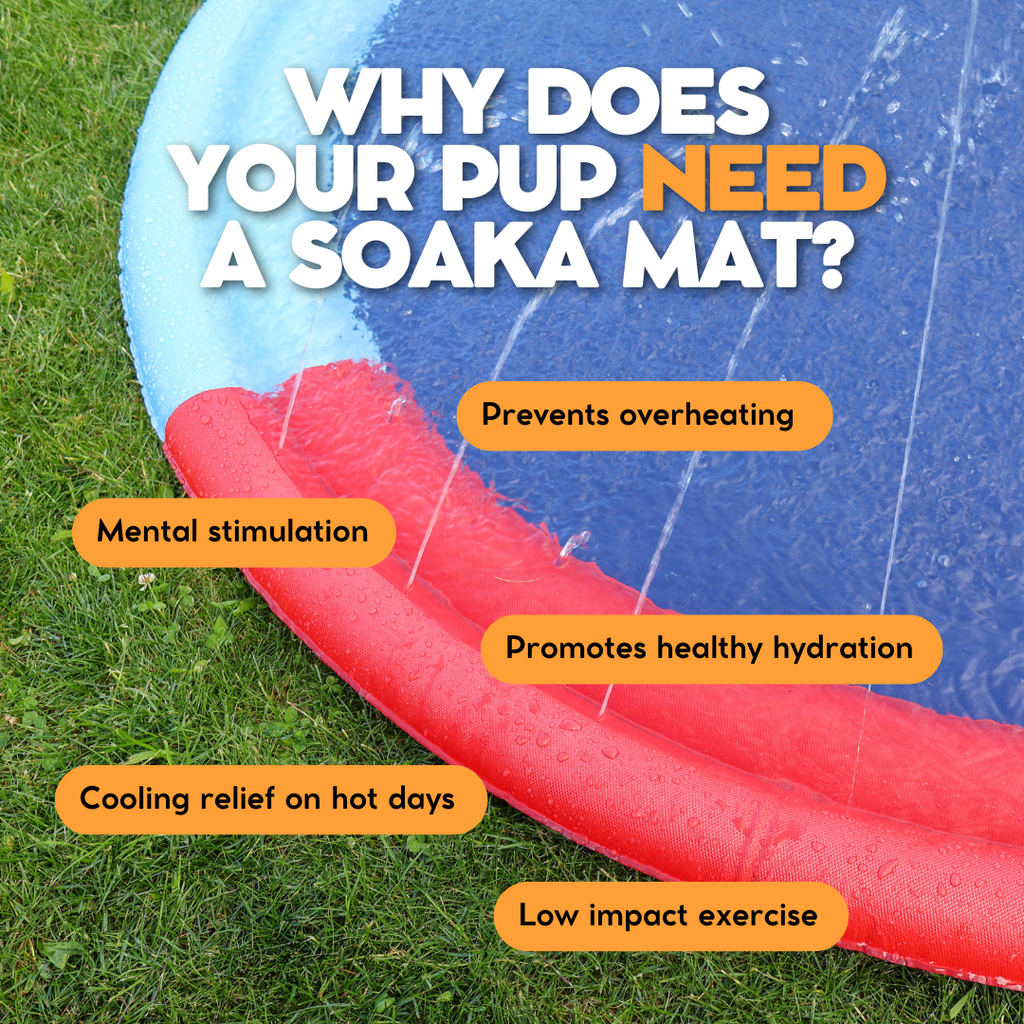 The Soaka Splash Pad