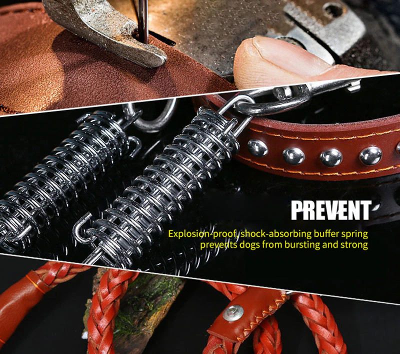 Leather Dog Collar And Leash Set