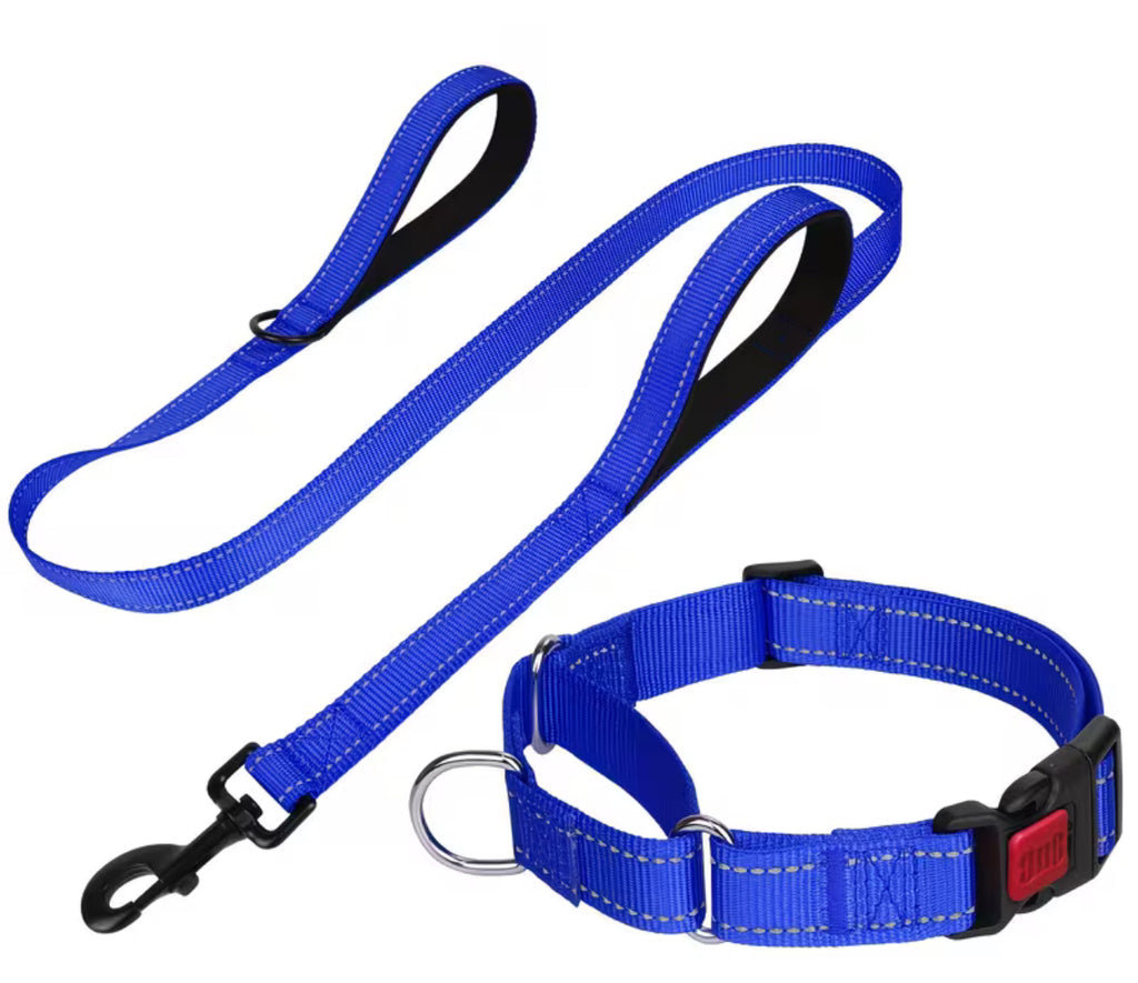Puppy Pack Martingale Collar & Leash Bundle (10 set)– Breeder Edition