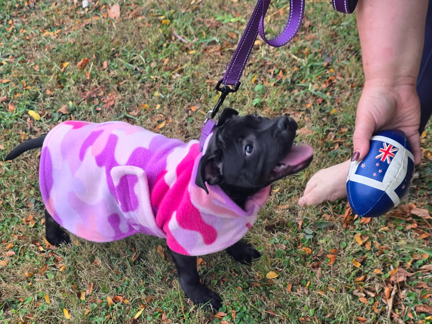 Puppy Staffordshire Bull Terrier Fleece Coat