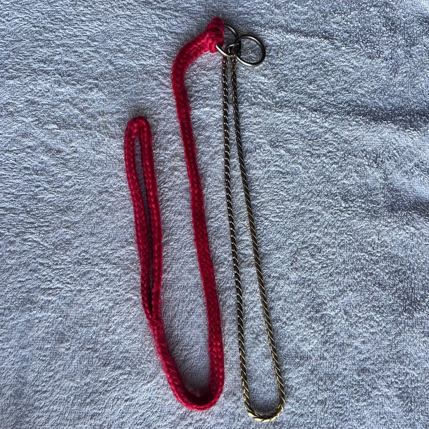 Red rope Lead with Gold Snake chain