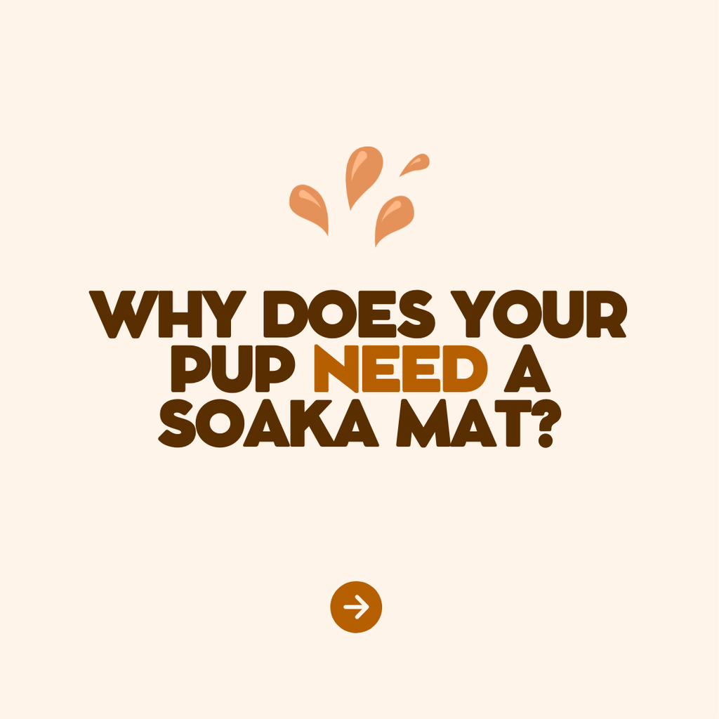 The Soaka Splash Pad