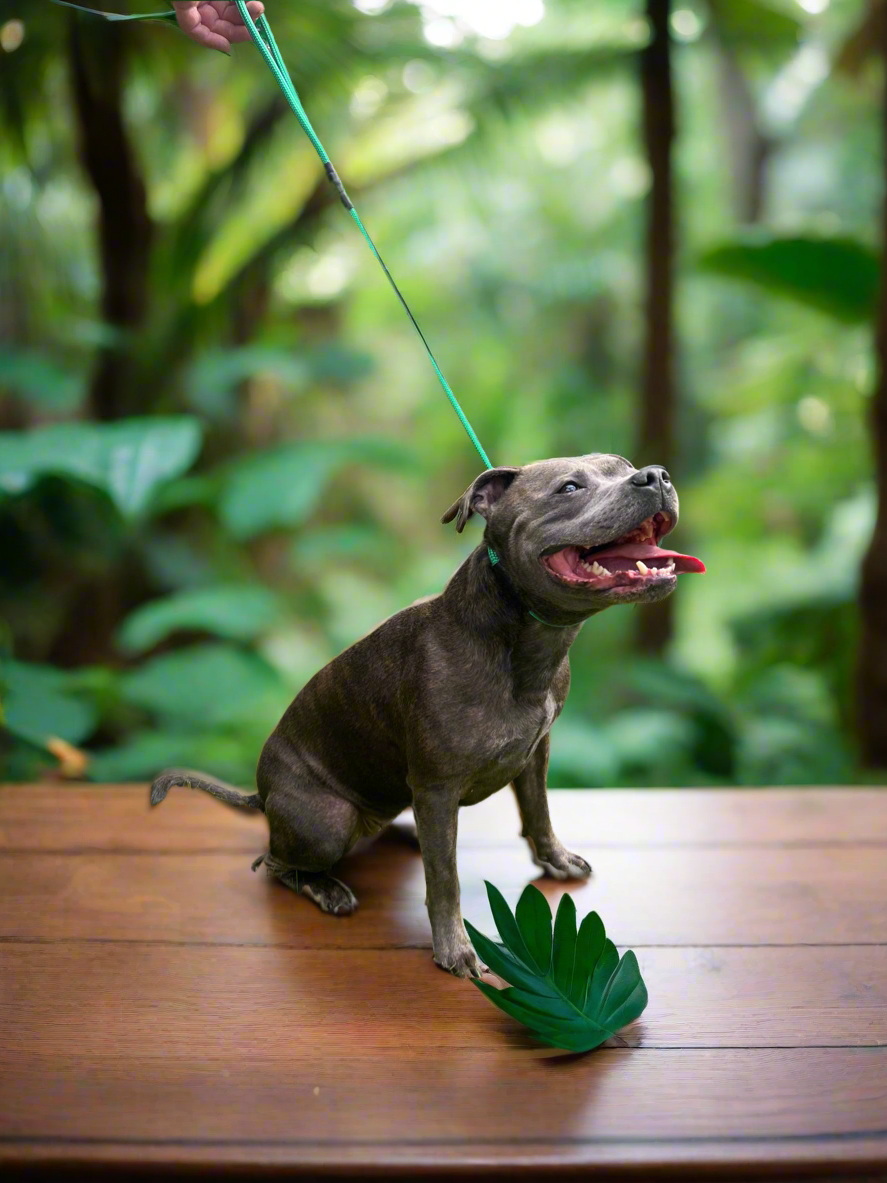 800mm STRONG Slip Leash, Pine Green