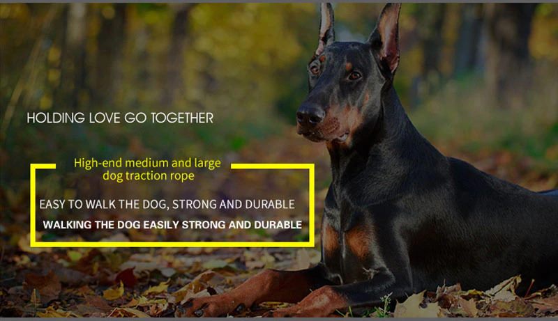 Leather Dog Collar And Leash Set