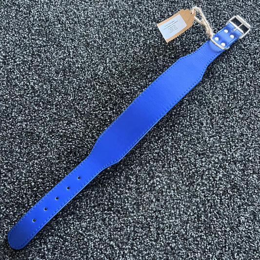 Durable Microfibre Leather Collar 5cm Blue