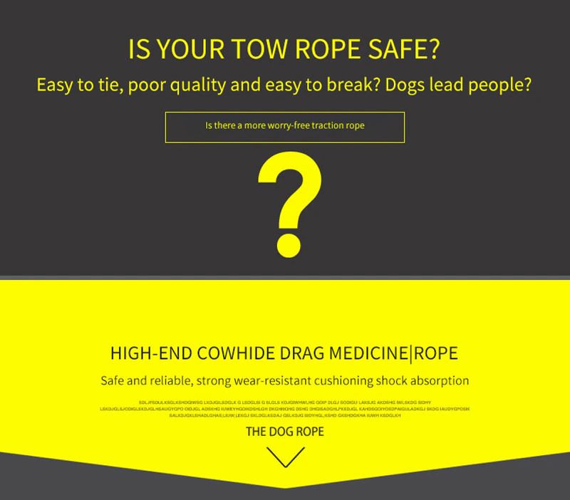 Leather Dog Collar And Leash Set