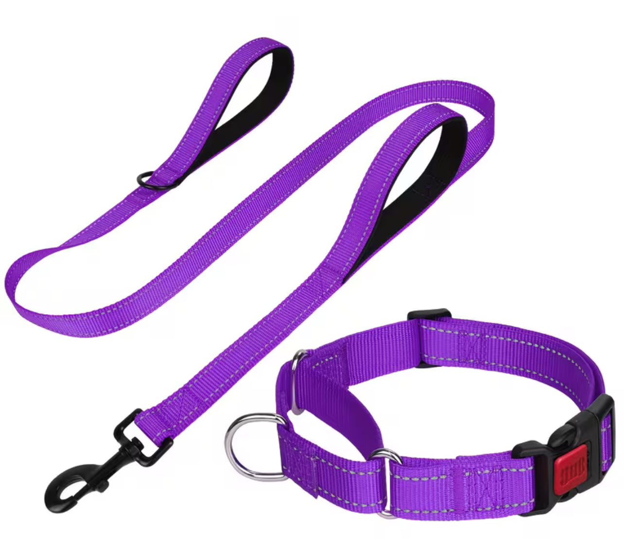 Puppy Pack Martingale Collar & Leash Bundle (10 set)– Breeder Edition