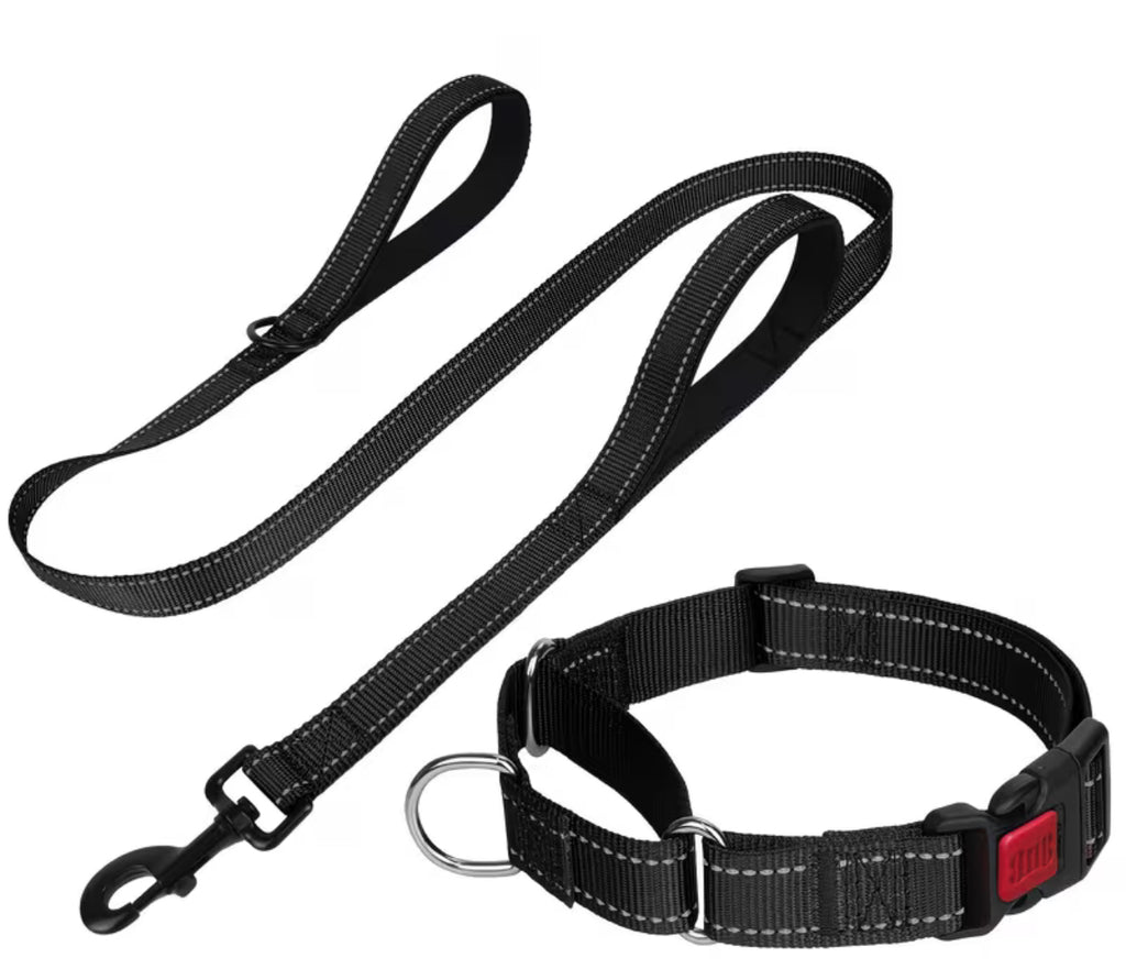 Puppy Pack Martingale Collar & Leash Bundle (10 set)– Breeder Edition