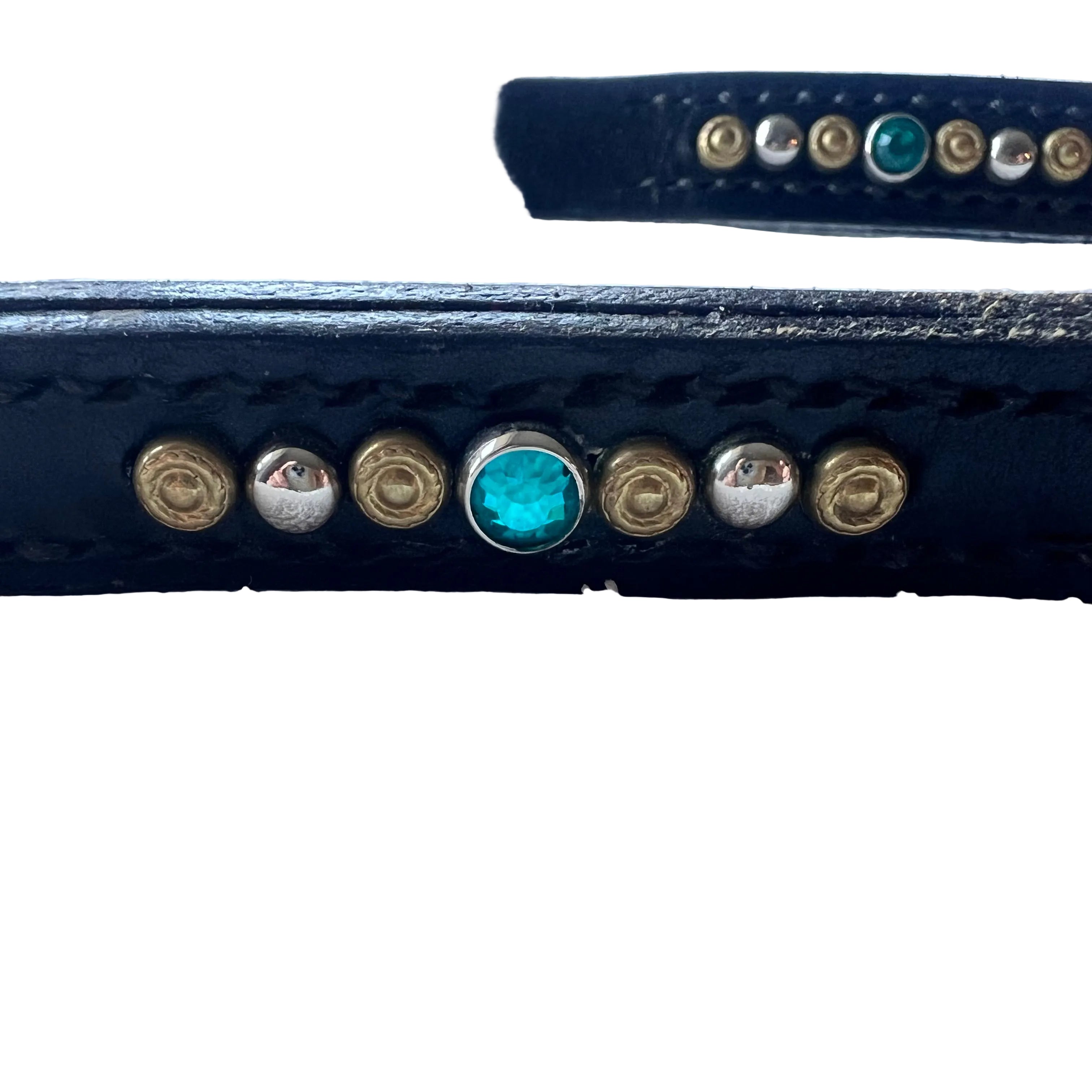 Pre-Loved AE Collar & Leash All-in-One Set (30–38cm)