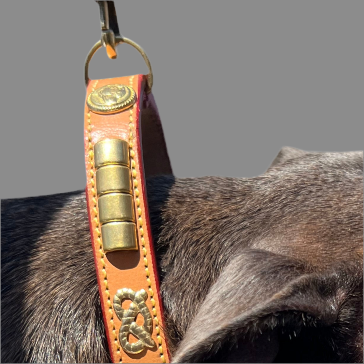Honey/Red Edge/Brass Show Set - Limited Edition