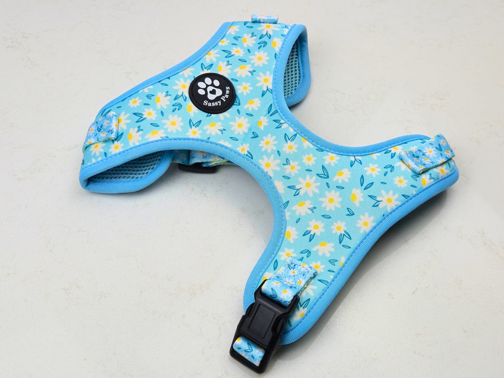Adjustable Dog Harness - Daisy Meadow